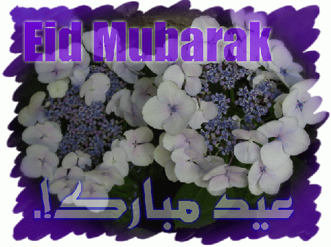 alsunna.org Eidul-Fitr al-Mubarak -          