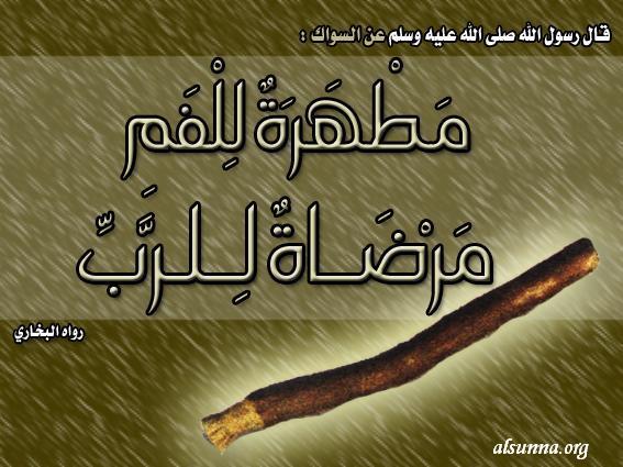 Islamic Photo - Siwak