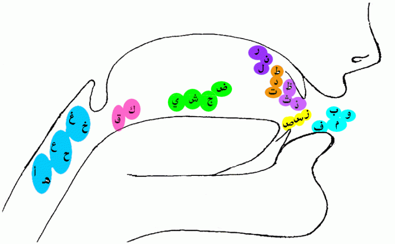 Arabic Pronunciation Chart