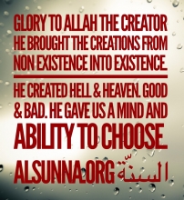 Praise the Lord - Islamic Quotes