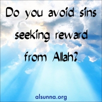 Avoid Sins For the Sake of God