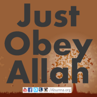 Obey Allah