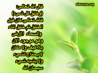 Islamic Quotes and Sayings (22)