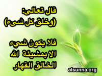 Islamic Quotes and Sayings (23)