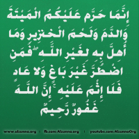 Islamic Quotes Duaa Sayings (287)