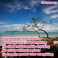 Subhanallah Ponder in Allah's Creations