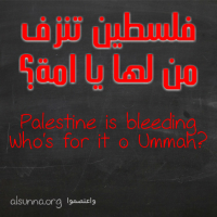 Palestine is Bleeding! فلسطين تنزف