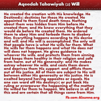 Aqeedah Tahawiyah English (2)