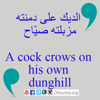 Engilsh Proverbs Arabic Quotes (16)