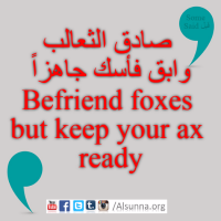 English Provers Arabic Quotes (2)