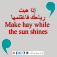 English Provers Arabic Quotes (73)