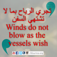 Proverbs Maxims Aqwal Quotes (4)