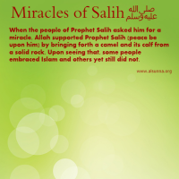 Mircale of Prophet Salih