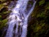 water falls nature (12)