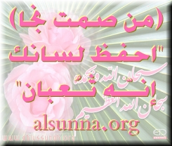 FREE IslamicMSN Pictures @ alsunna.org !