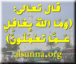 FREE IslamicMSN Pictures @ alsunna.org !