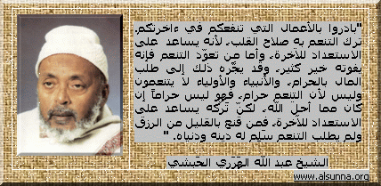 نصيحة الهرري