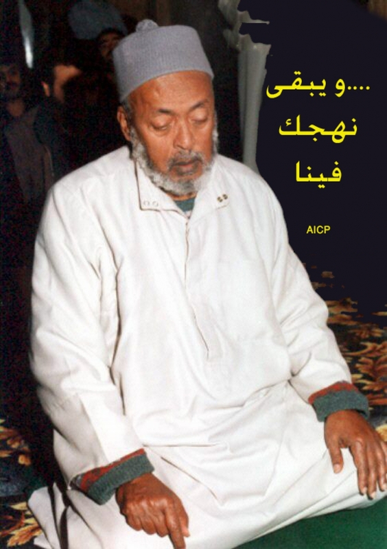 Sheikh Abdullah Habashi صورة الشيخ عبد الله الهرري