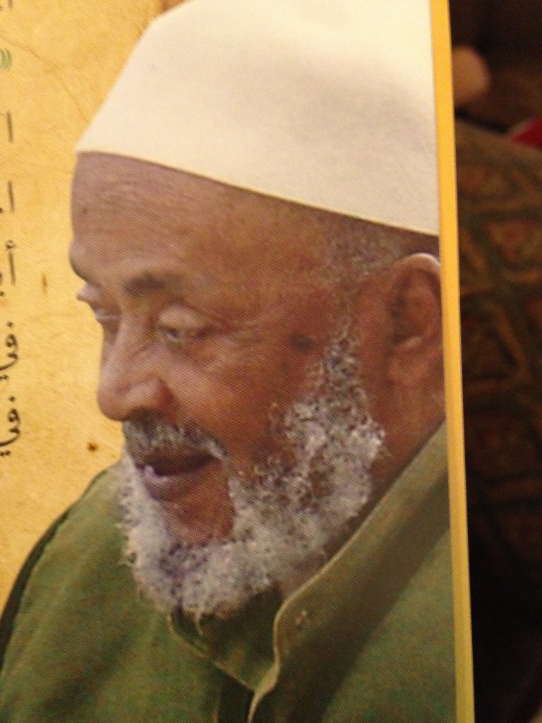 صورة الشيخ عبد الله الهرري