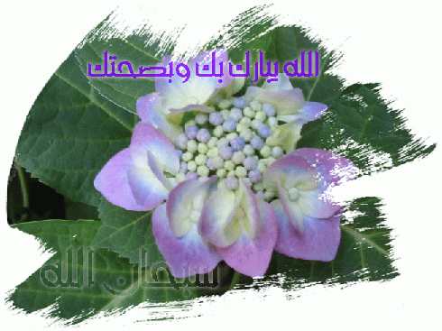 بارك الله فيك