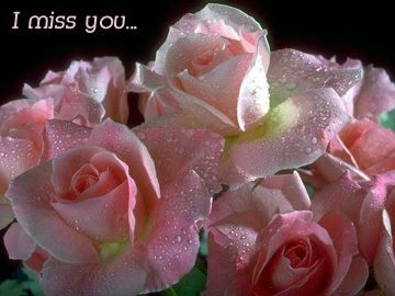 Miss you for the sake of Allah
