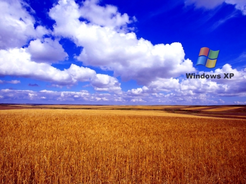 Xp THeme