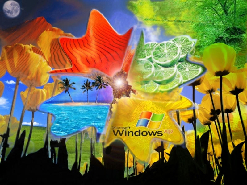 XP Themes