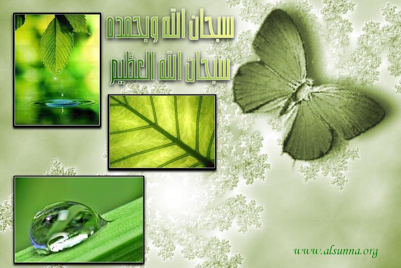 More Islamic Wallpaper
