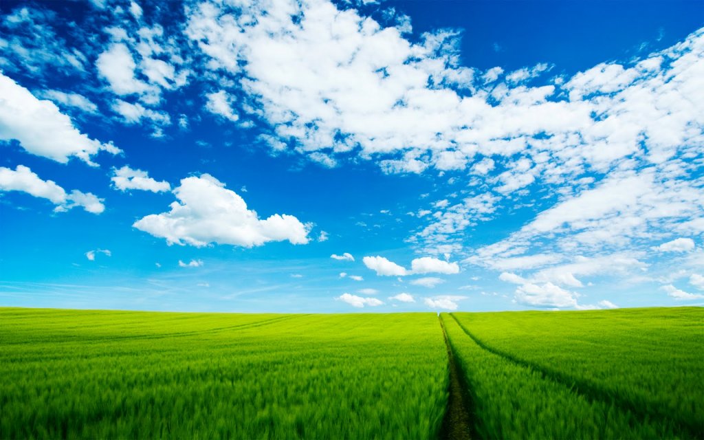 HD Nature Wallpaper (1)