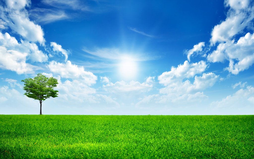 HD Nature Wallpaper (3)