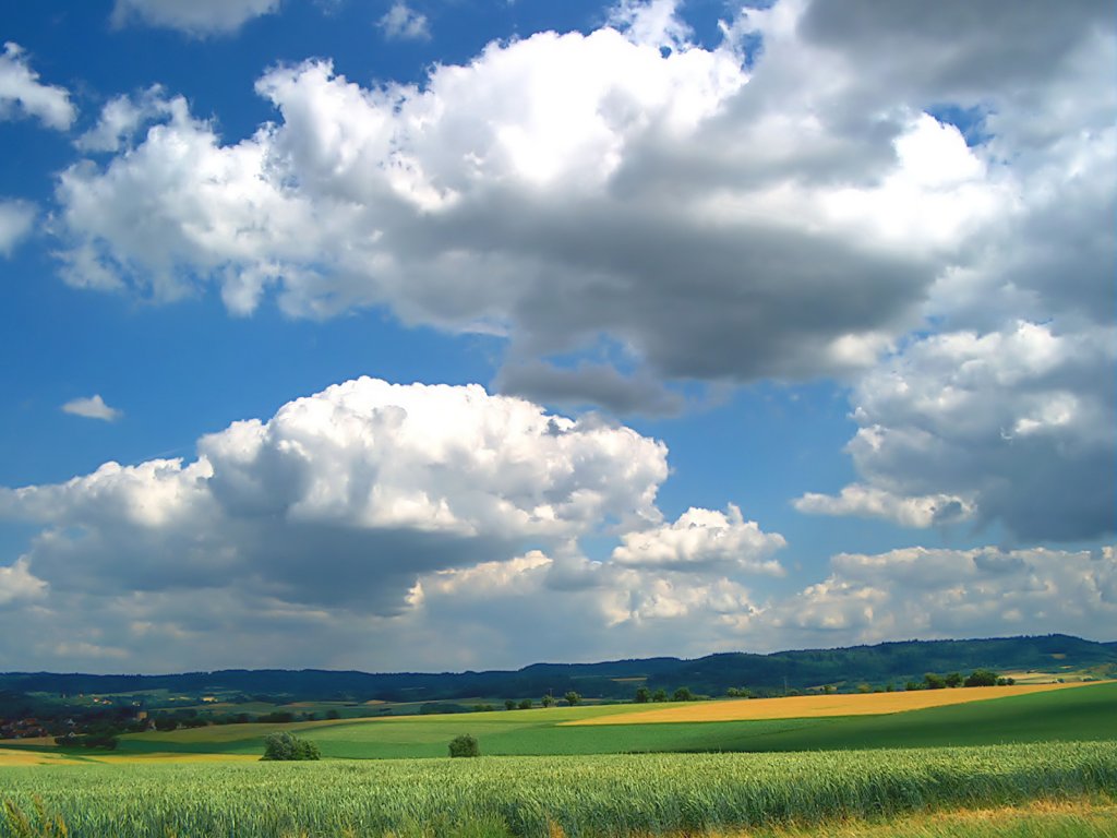 HD Nature Wallpaper (5)