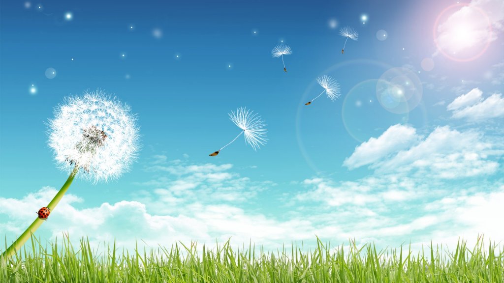 HD Nature Wallpaper (6)