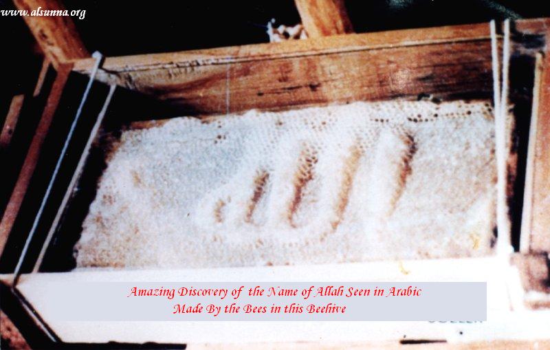 Islamic Science
