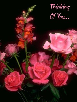 Thinking of You