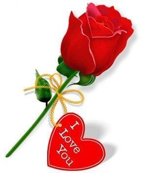 roses www alsunna org