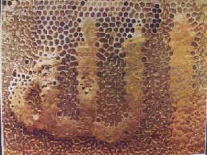 Name of Allah on honey