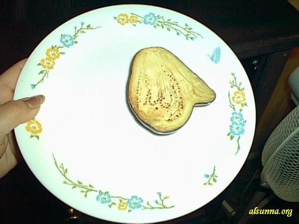 Islamic Signs and Discoveries