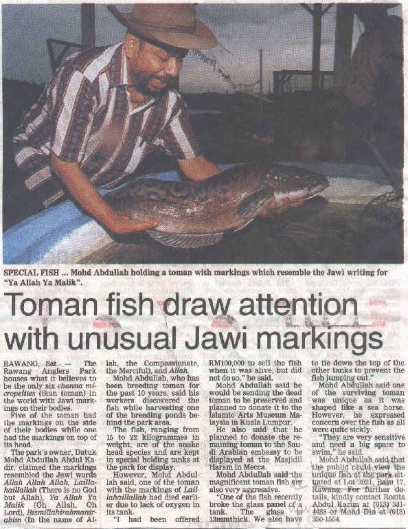Name of Allah on Fish