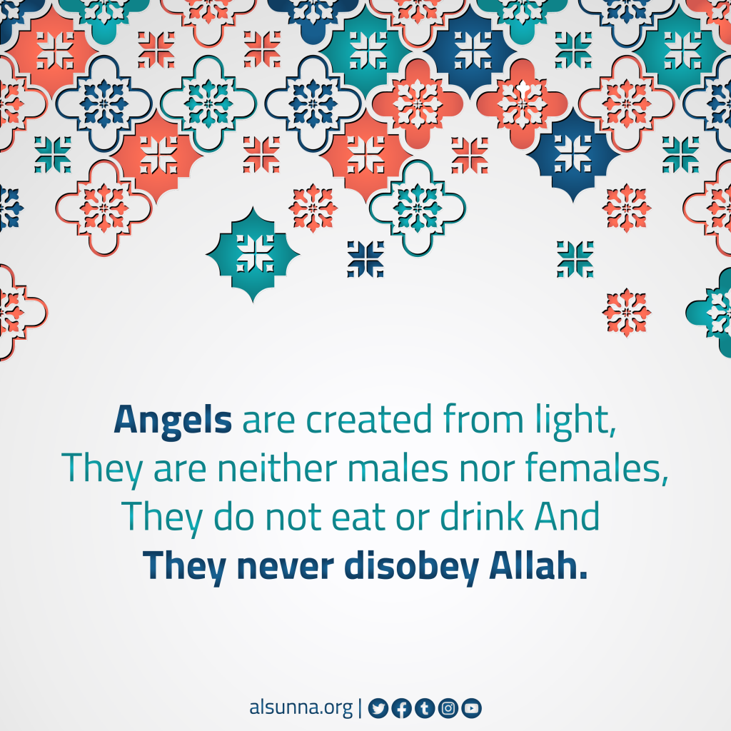 Did you Know-0004