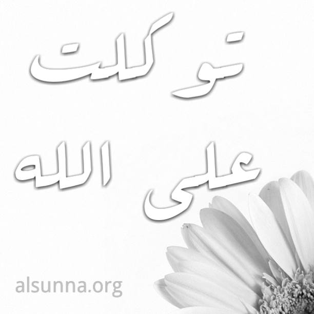 Facebook Islamic Quotes to SHARE (83)
