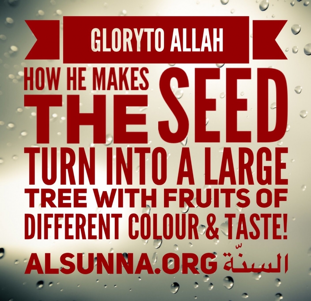 Power of Allah