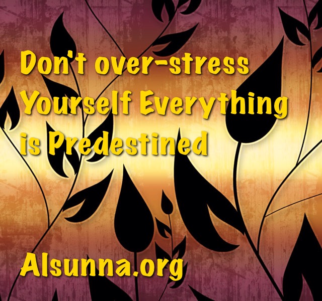 Everything is Predestined
