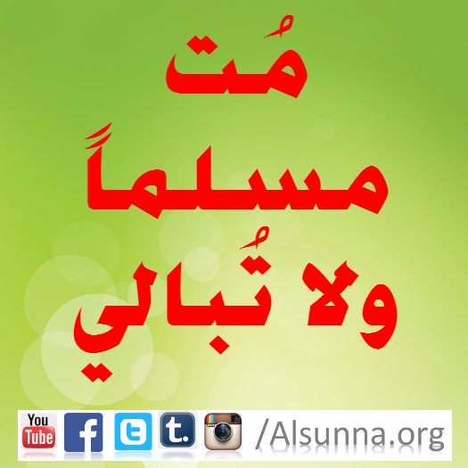 Islamic Quotes Advice (2)