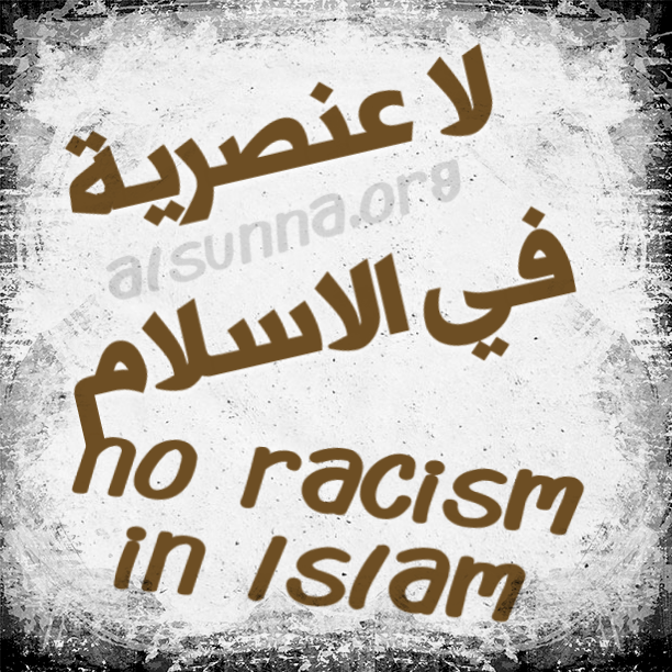 Islamic Quotes alsunna.org (30)