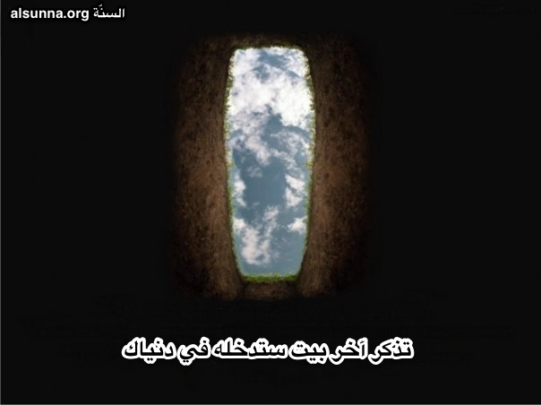 Islamic Quotes and Sayings (19)