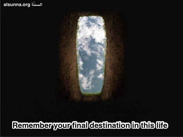 Islamic Quotes and Sayings (20)