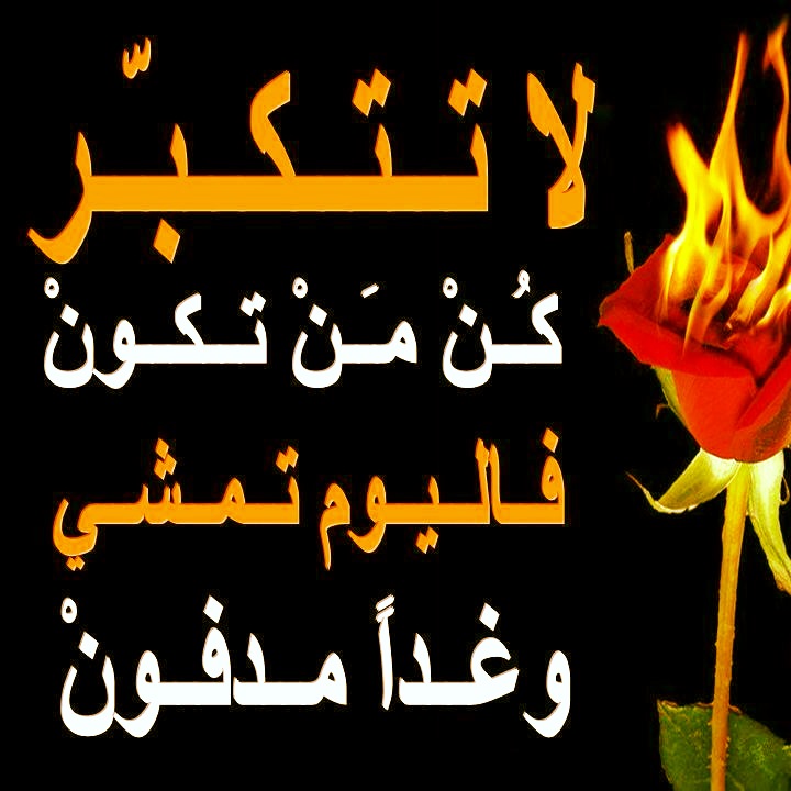 Islamic Quotes and Sayings (217)