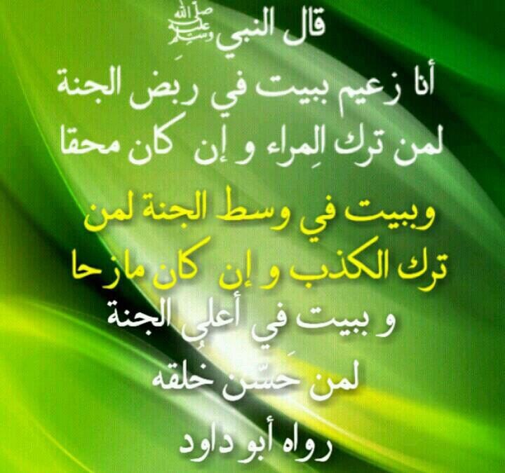 Islamic Quotes and Sayings (222)