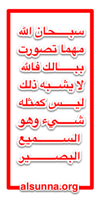 Islamic Quotes and Sayings (41)