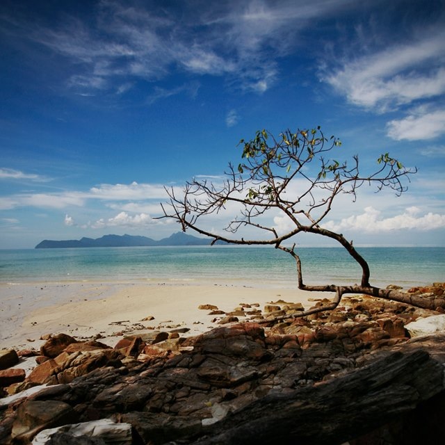 Islamic Quotes and Sayings (49)